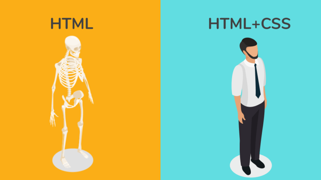 مفهوم HTML